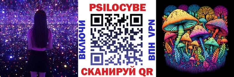 Псилоцибиновые грибы Cubensis  Макаров 